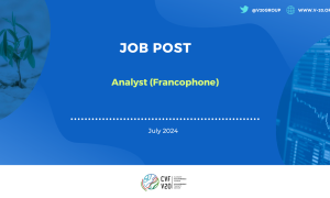 Analyst (Francophone)
