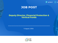 Deputy Director, Financial Protection & Vertical Funds